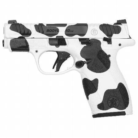 S&W BODYGUARD 2.0 380 ACP TS 10RD COW
